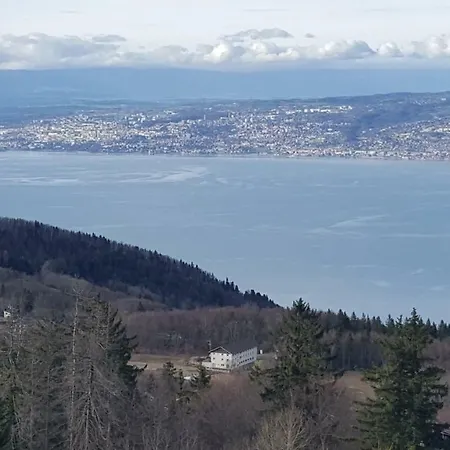 Lejlighed Le Telemark Thollon-les-Memises