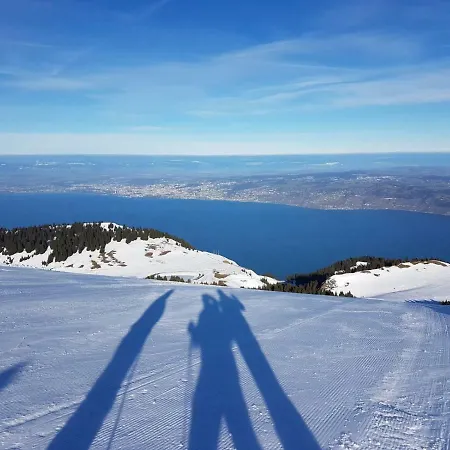 Le Telemark *