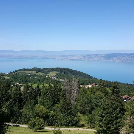 דירה Le Telemark Thollon-les-Memises