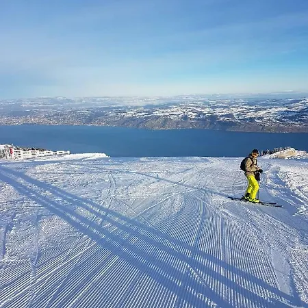 Le Telemark 아파트 *